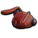 Red Ant Head